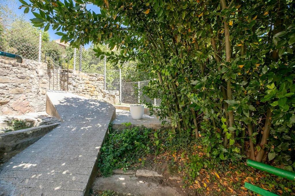 קסטילו דה חאקה Casa Feli - Apartamento Con Jardin Privado En Los Pirineos מראה חיצוני תמונה