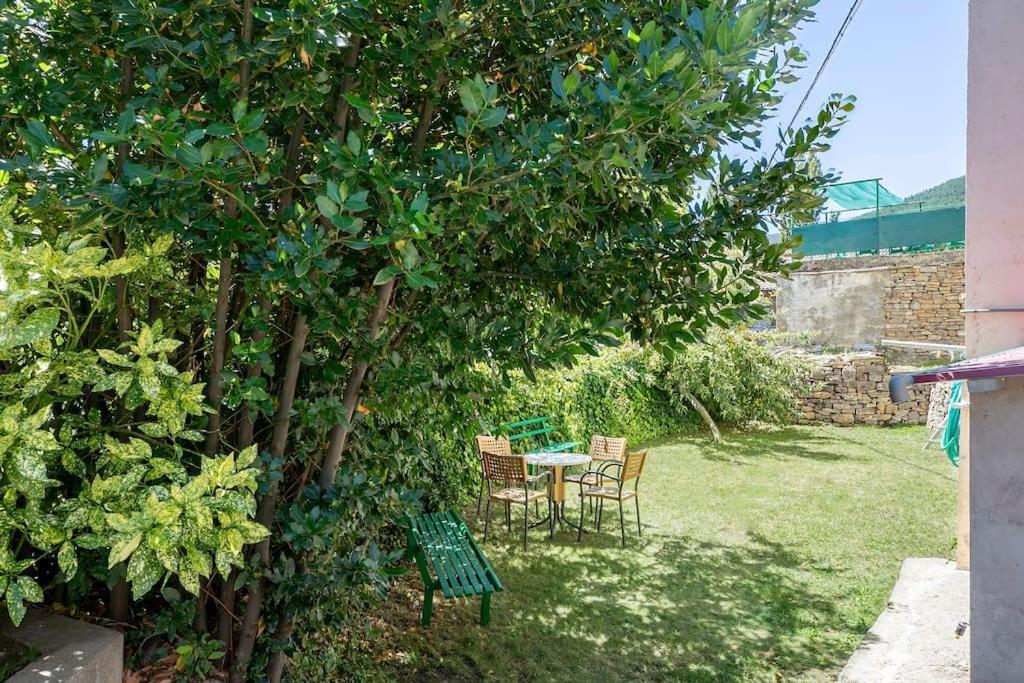 קסטילו דה חאקה Casa Feli - Apartamento Con Jardin Privado En Los Pirineos מראה חיצוני תמונה