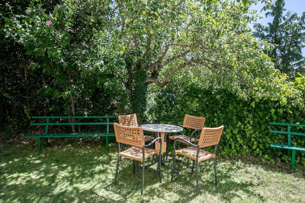 קסטילו דה חאקה Casa Feli - Apartamento Con Jardin Privado En Los Pirineos מראה חיצוני תמונה