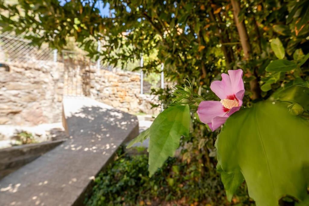 קסטילו דה חאקה Casa Feli - Apartamento Con Jardin Privado En Los Pirineos מראה חיצוני תמונה